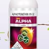 Acl Alpha