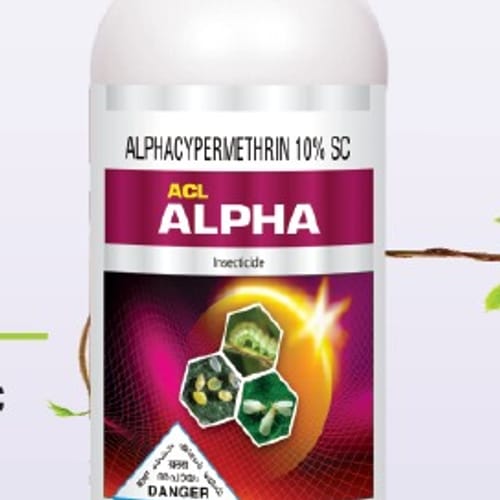 Acl Alpha