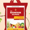 Acl Magnesium