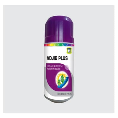 Adjib Plus