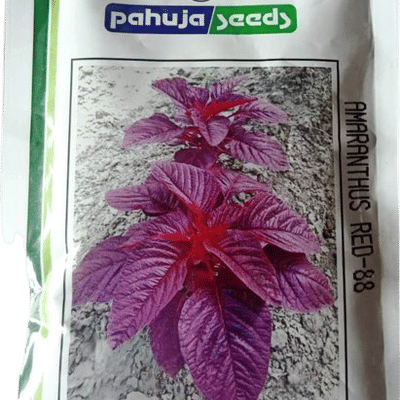 AMARANTHUS RED – लाल चौलाई