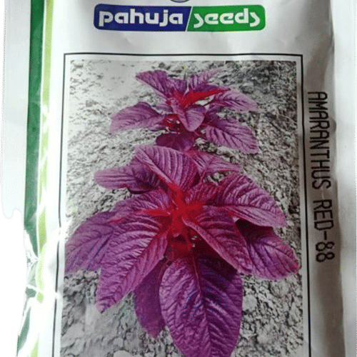 AMARANTHUS RED – लाल चौलाई