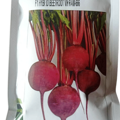 BEETROOT – चुकंदर