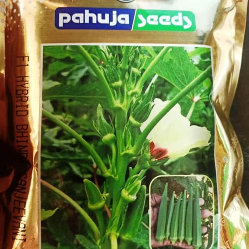 BHINDI – भिंडी