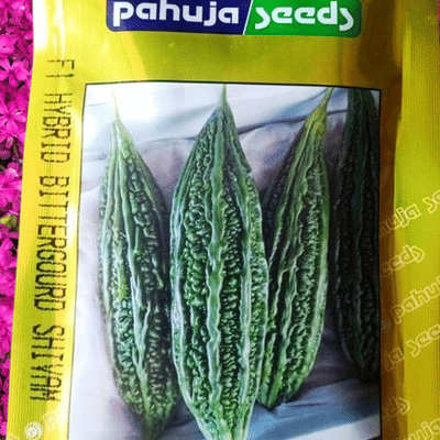 BITTERGOURD – करेला