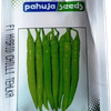 CHILLI – मिर्च