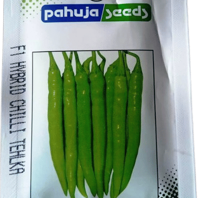 CHILLI – मिर्च
