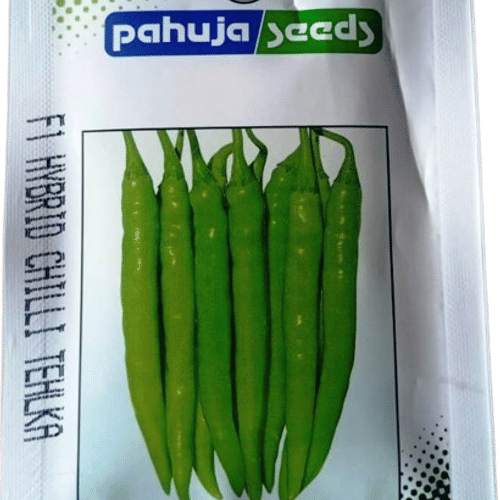 CHILLI – मिर्च