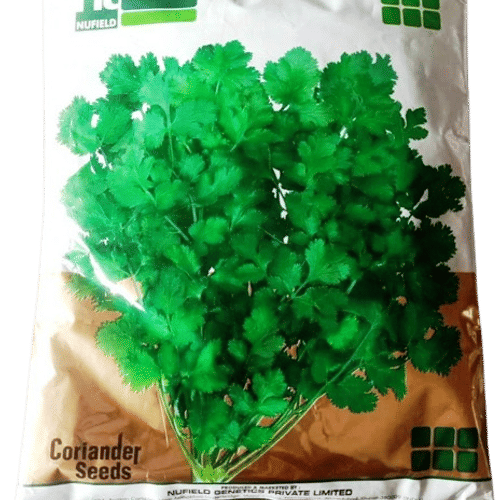 CORIANDER SEEDS – धनिया बीज