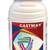 Castway