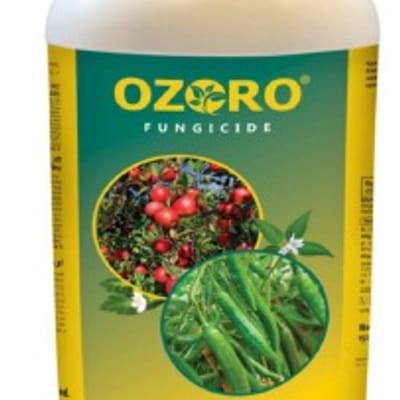 Ozoro