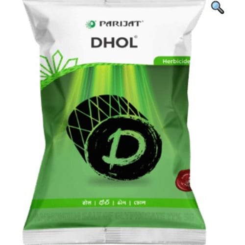 DHOL