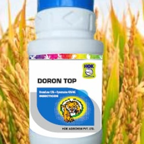 Doron Top
