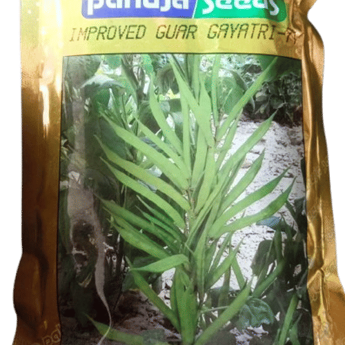 GUAR – ग्वार फली