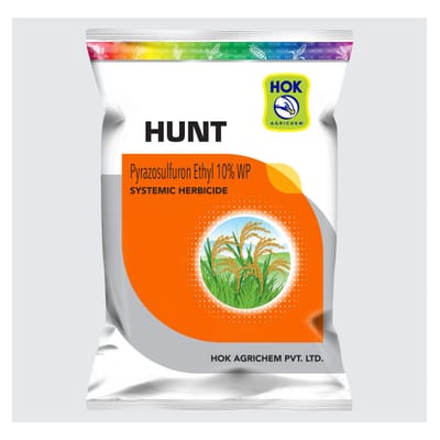 Hunt