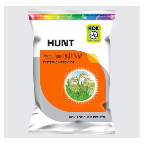 Hunt