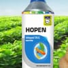 Hopen