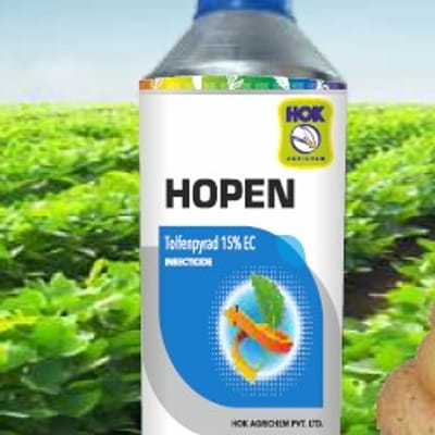 Hopen
