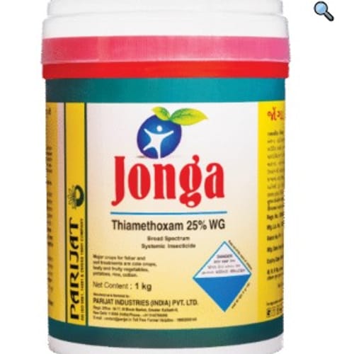 JONGA 