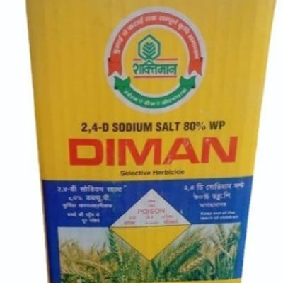 Diman
