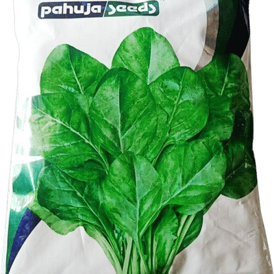 PAALAK – पालक