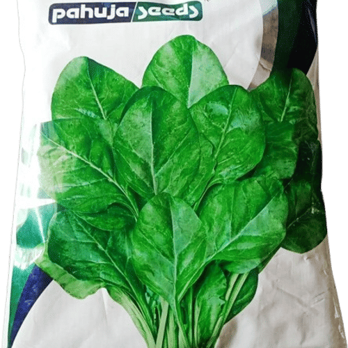 PAALAK – पालक
