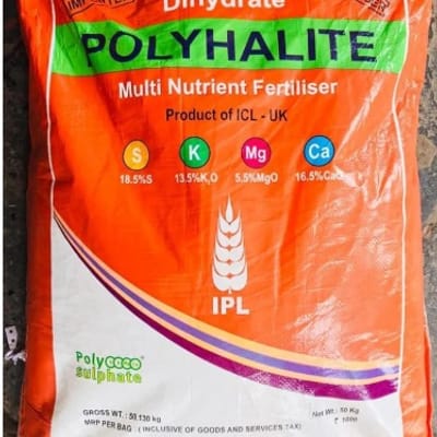 IPL Polyhalite