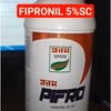 Pifro