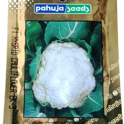 CAULIFLOWER – फूलगोभी