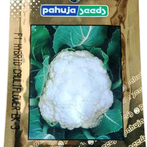 CAULIFLOWER – फूलगोभी