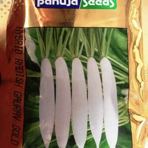 RADISH – मूली