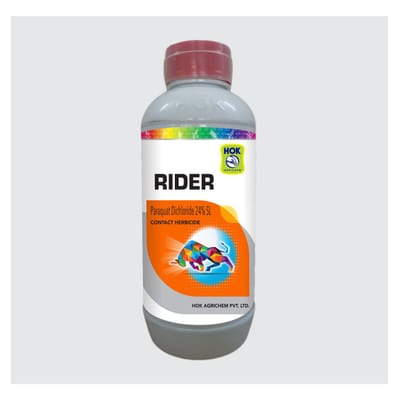 Rider