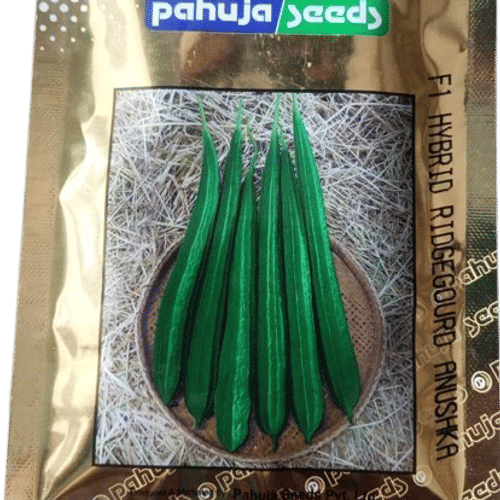 RIDGEGOURD – तोरई