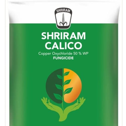 SHRI RAM CALICO