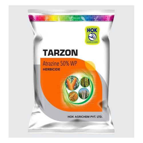Tarzon