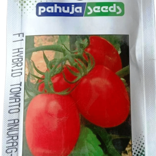 TOMATO – टमाटर