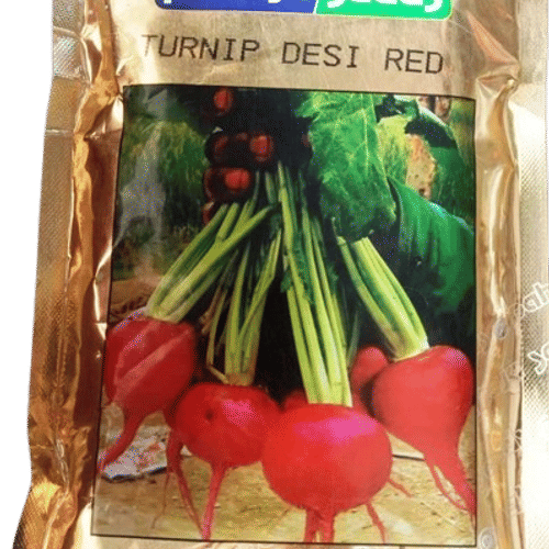 TURNIP DESI – देसी शलगम