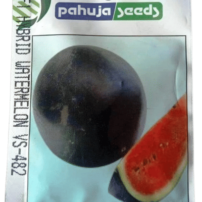 WATERMELON – तरबूज