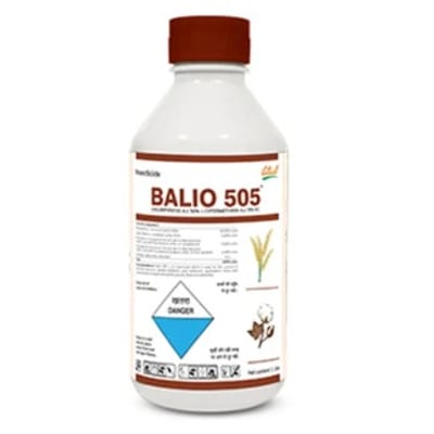 Balio 505