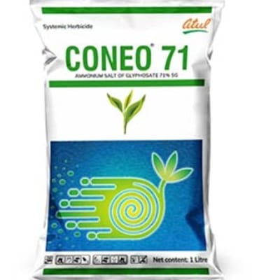 Coneo 71