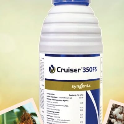 Cruiser 
