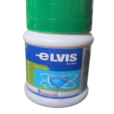 ELVIS 70