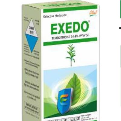 Exedo