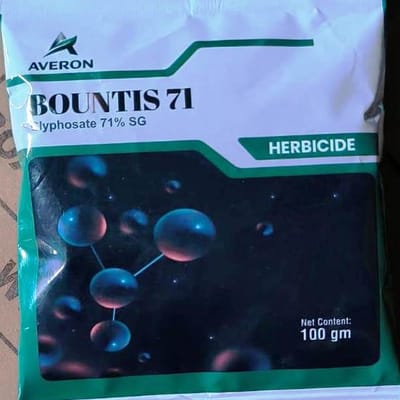 Bountis 71