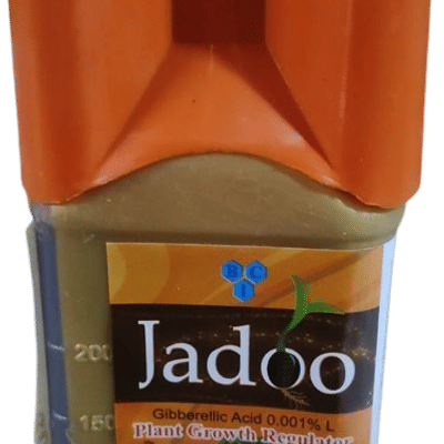 Jadoo