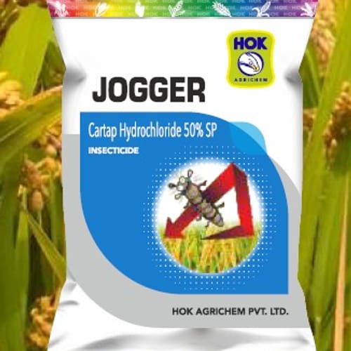 Jogger