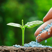 Improve growth of plants