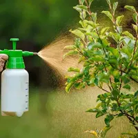 Kill unwanted plants