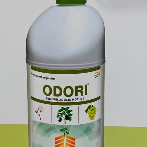 ODORI