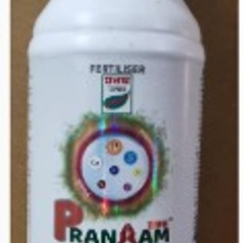 Uttam Pranaam